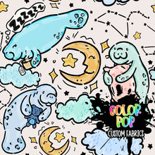 Load image into Gallery viewer, LR074 (MULTIPLE OPTIONS)