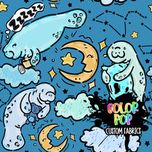 Load image into Gallery viewer, LR074 (MULTIPLE OPTIONS)