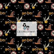 Load image into Gallery viewer, 9 and 3/4(MSM)