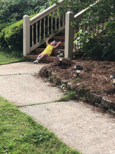 Load image into Gallery viewer, Boho turtles(P3)