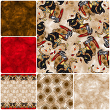 Load image into Gallery viewer, Indian Teacup Princess (EA) MULTIPLE OPTIONS