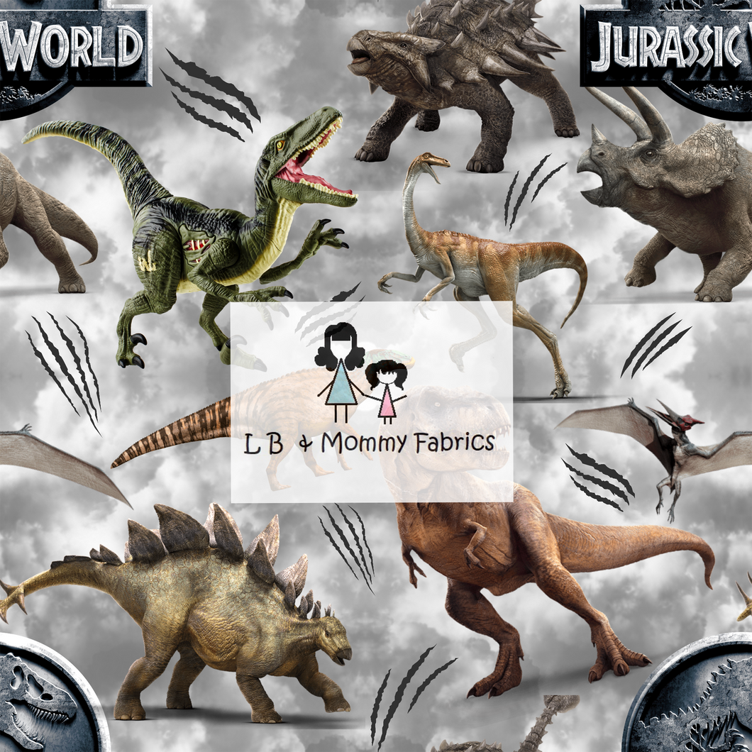 BLANKET-Dino park(P3)