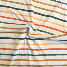 Load image into Gallery viewer, Fall chalk stripes(RC)
