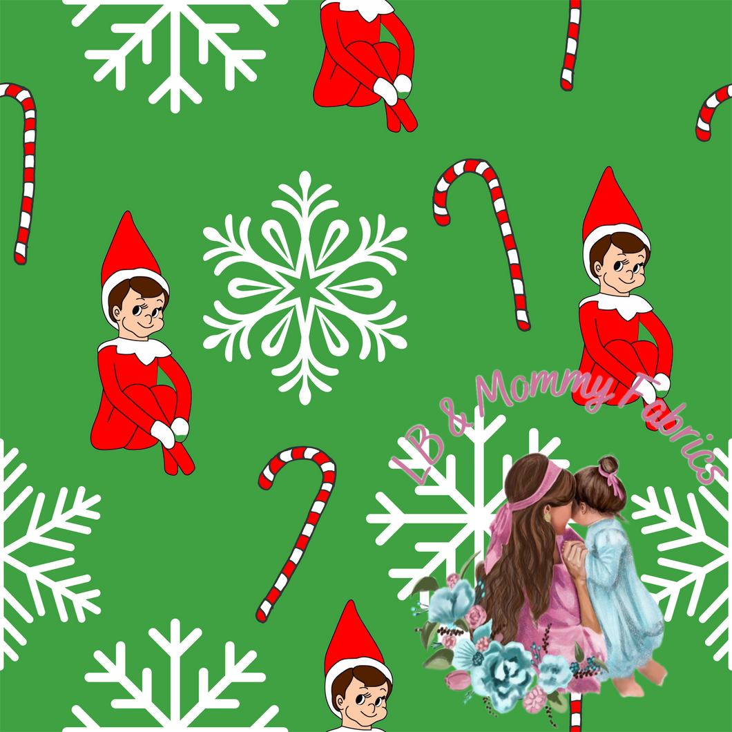 Elf on the shelf(EA)