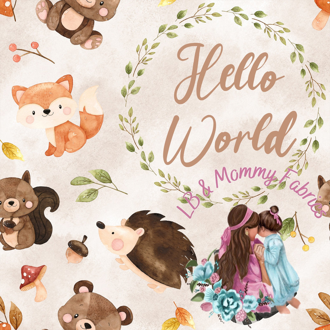 Hello world boy (RG)